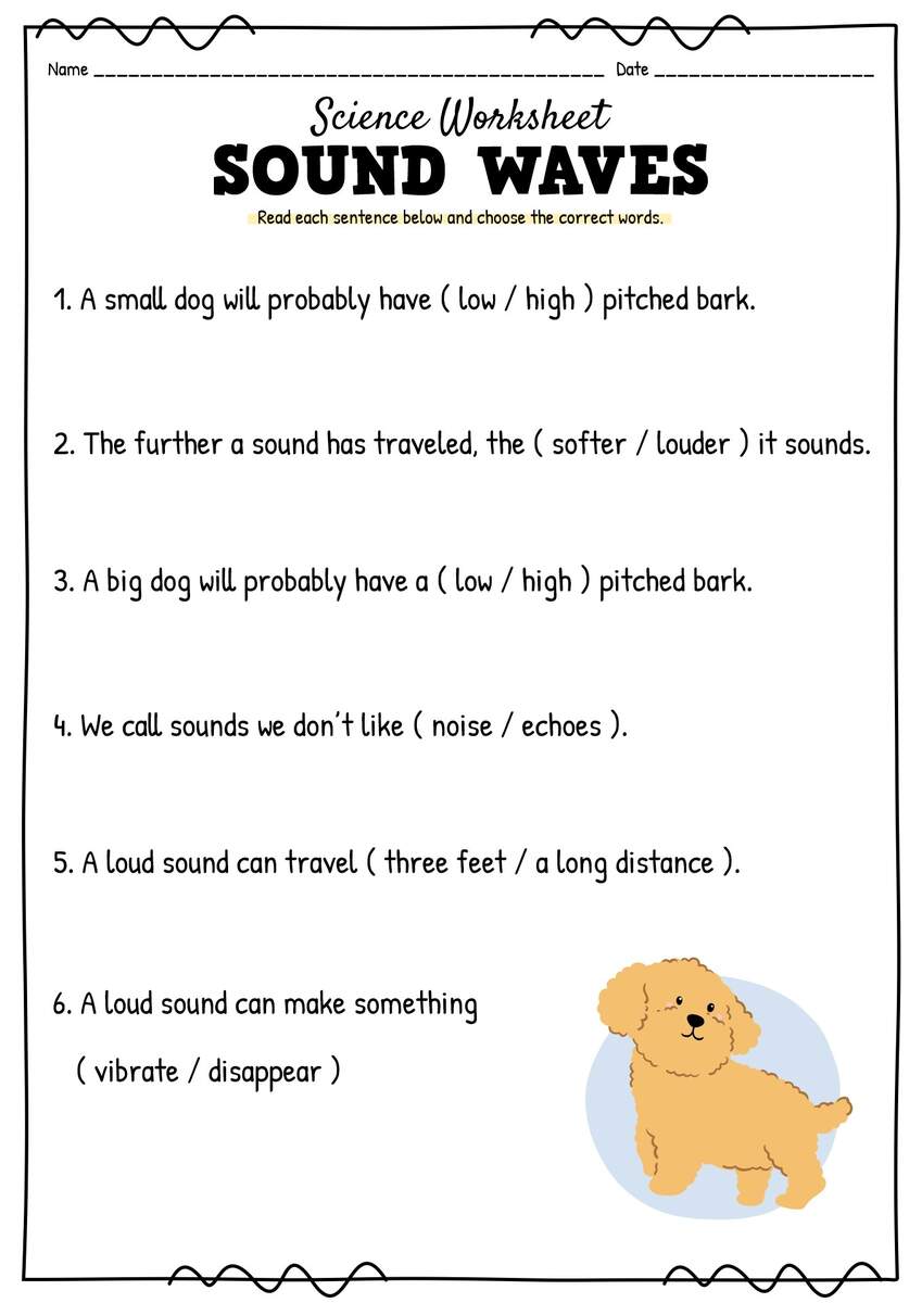 13 Science Worksheets Light And Sound Free PDF At Worksheeto