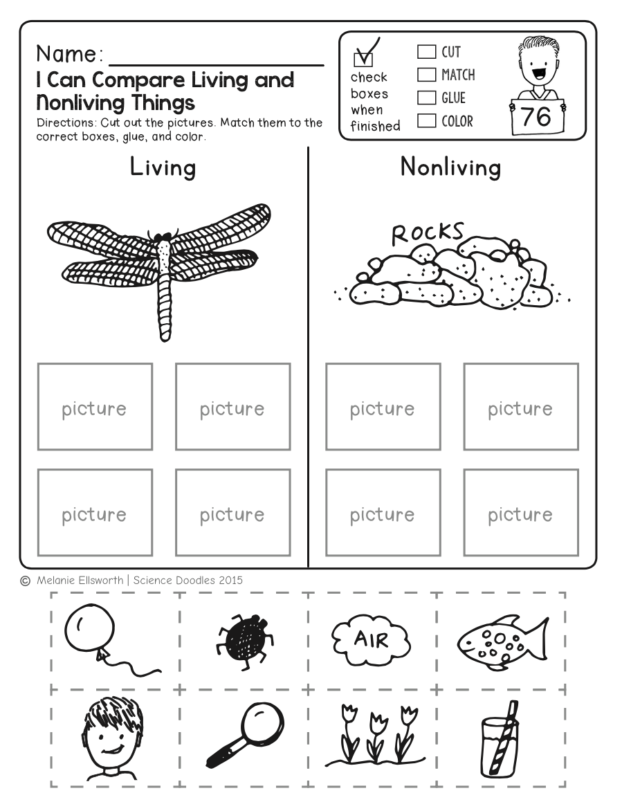 Engaging Kindergarten Science Worksheets For Curious Minds Fun Learning Activities
