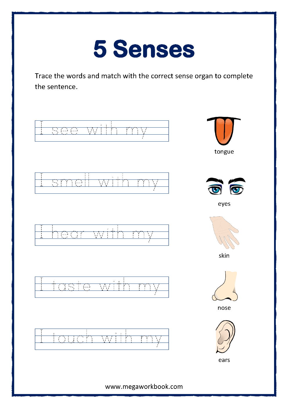 Five Senses Worksheet Free For Kindergarten And Grade 1