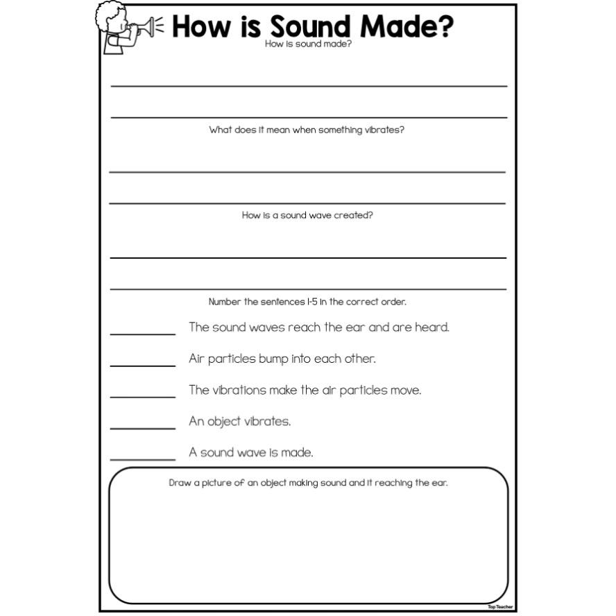 How Is Sound Made Worksheet Top Teacher