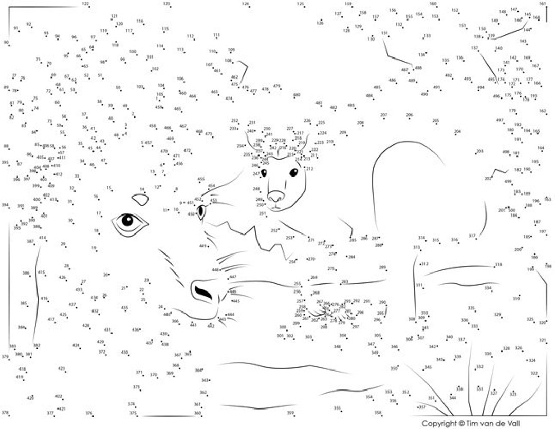 Kangaroo Dot To Dot Connect The Dots PDF 500 Dots Etsy Israel