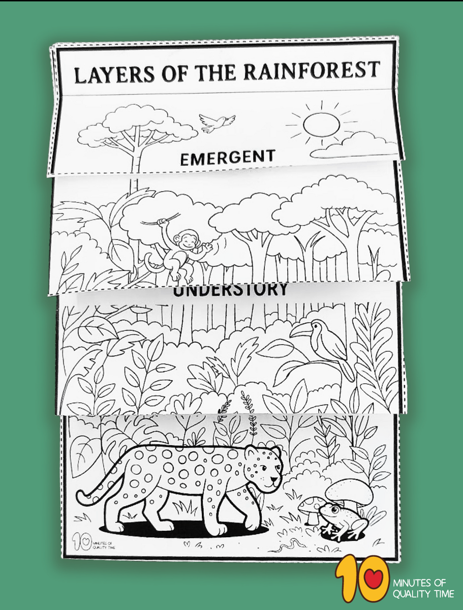 Layers Of The Rainforest Flipbook Craft 10 Minutes Of Quality Time