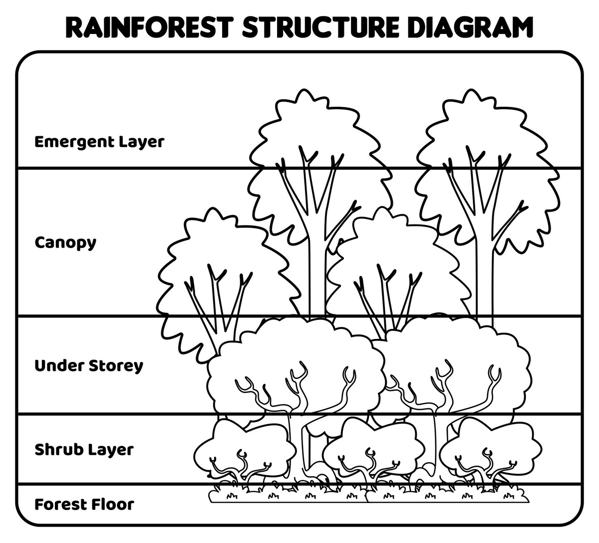 Rainforest Animals Layers Activity Educational Printable PDF Etsy