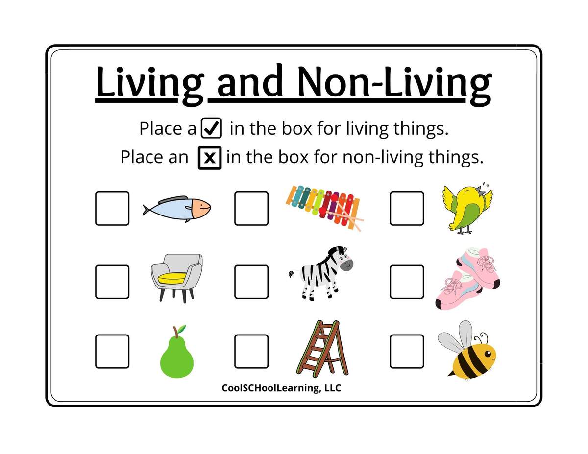 Living And Non living Printable Preschool Activities Kindergarten Readiness PDF Digital Download Etsy