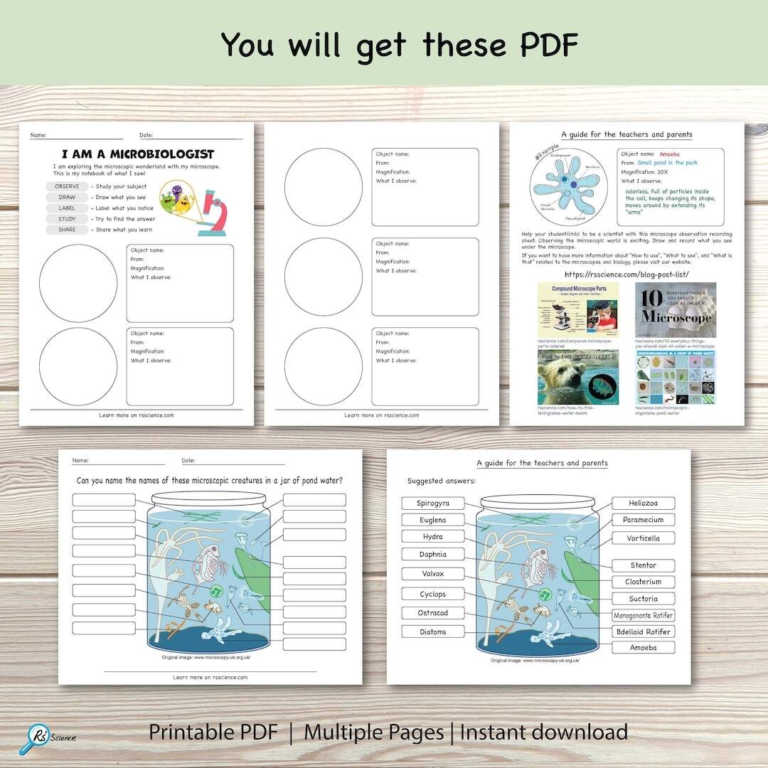 Microscope Activity Notebook Pond Life Observation Science Printable PDF Etsy Israel
