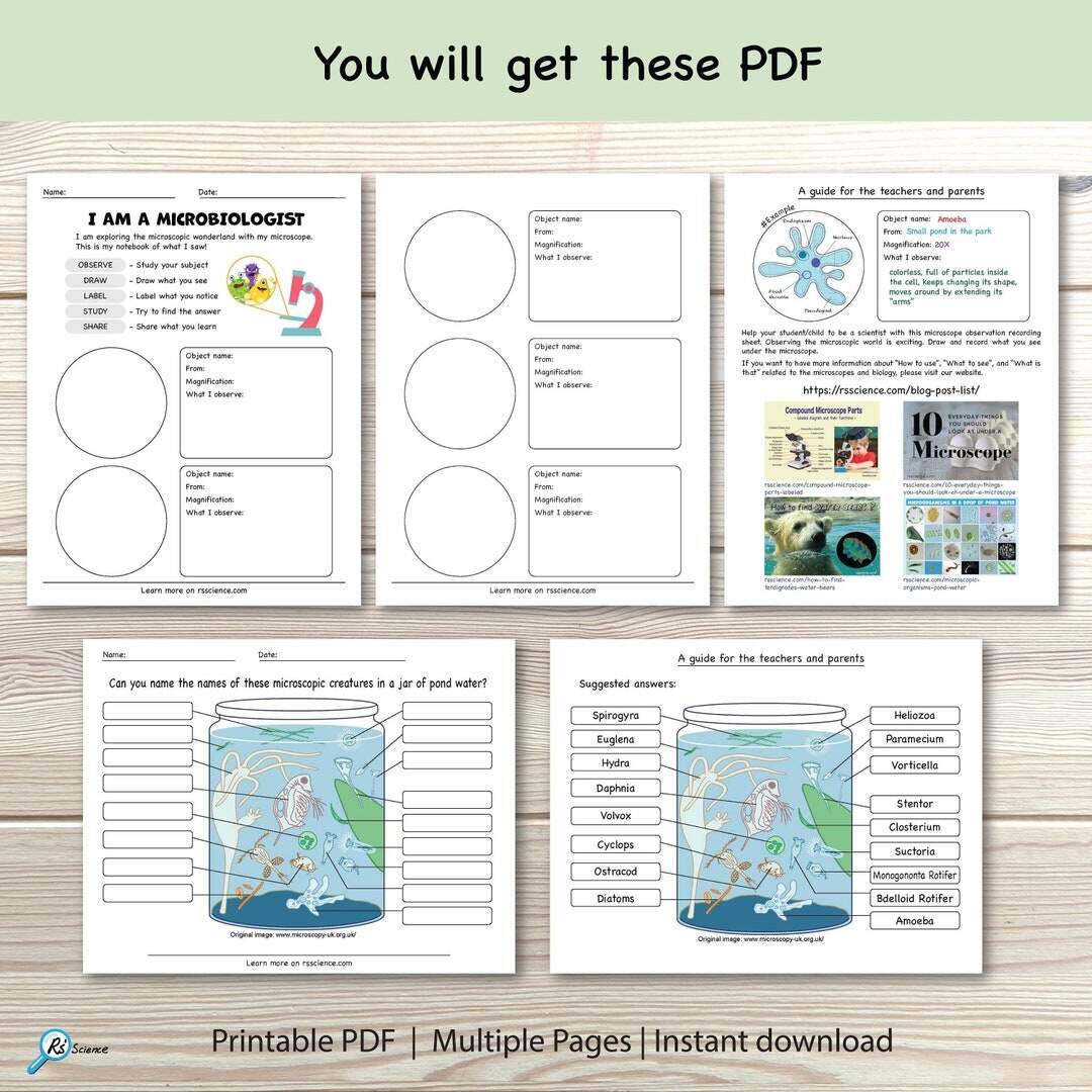 Microscope Activity Notebook Pond Life Observation Science Printable PDF Etsy Israel