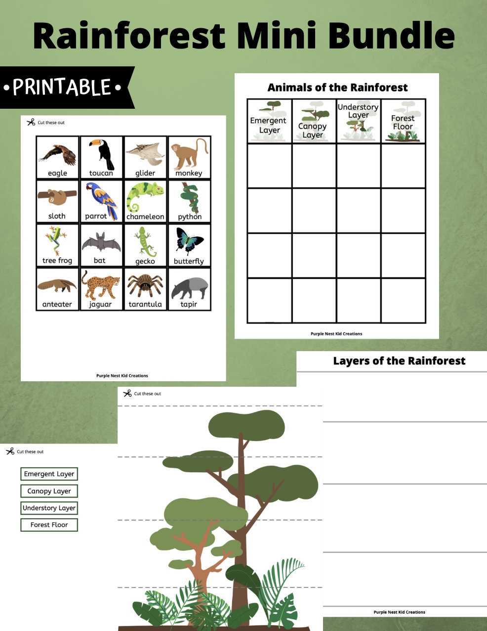Rainforest Animals Layers Activity Educational Printable PDF Etsy