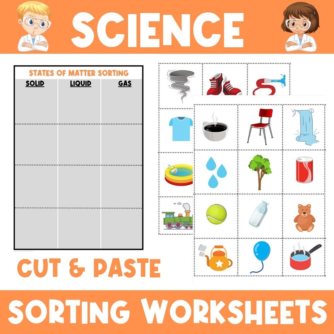 Science Sorting Worksheets Kindergarten Primary School PDF Etsy