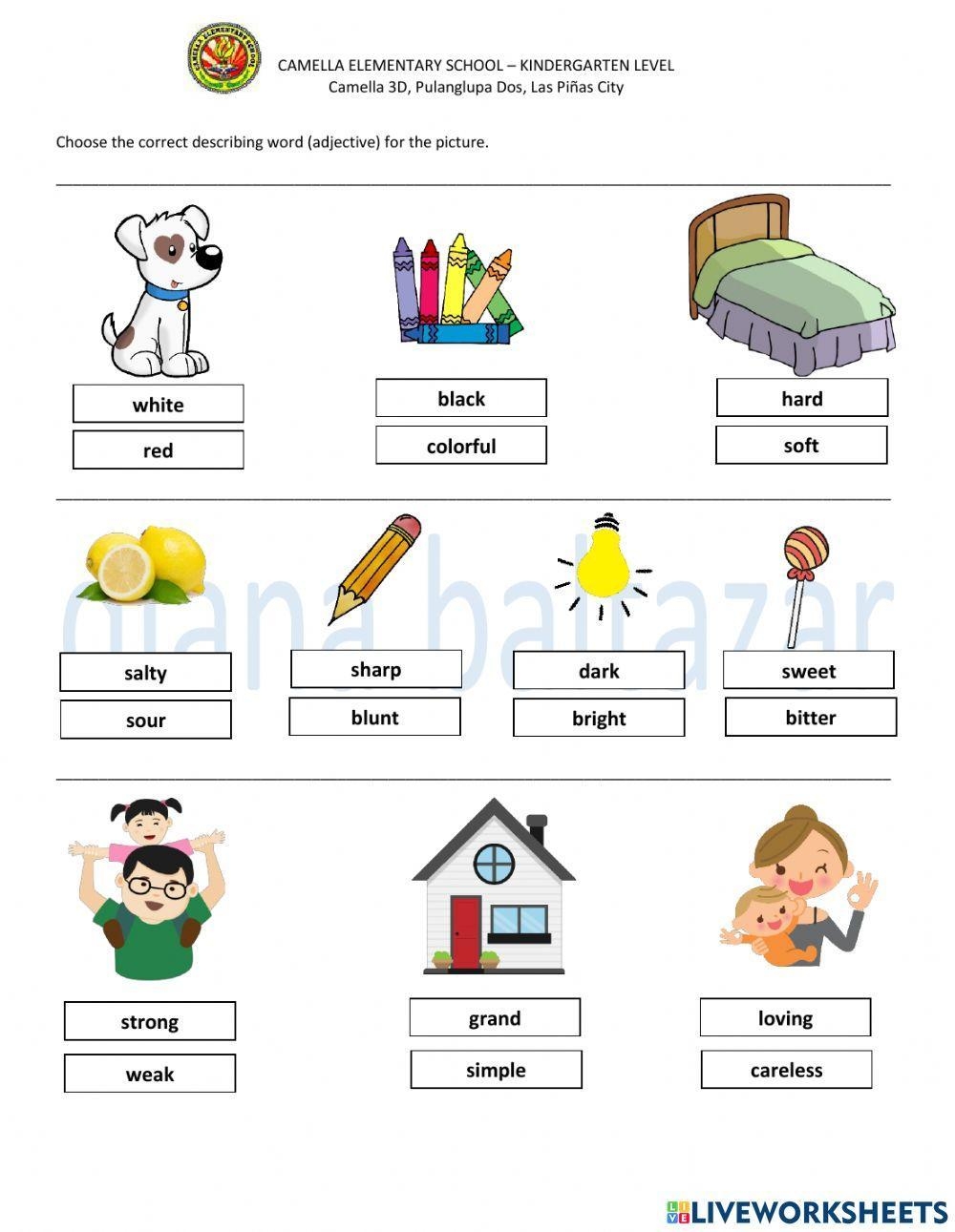 Adjectives Online Exercise For Kindergarten Worksheets Library