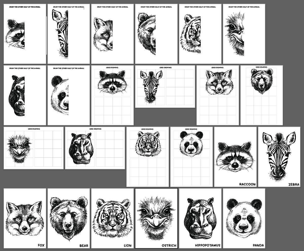 Animal Drawing Worksheets Draw The Other Half Grid Drawing TEXTURE SYMMETRY Teaching Resources