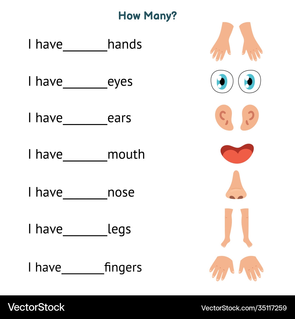 Body Parts Worksheets For Kids Made By Teachers
