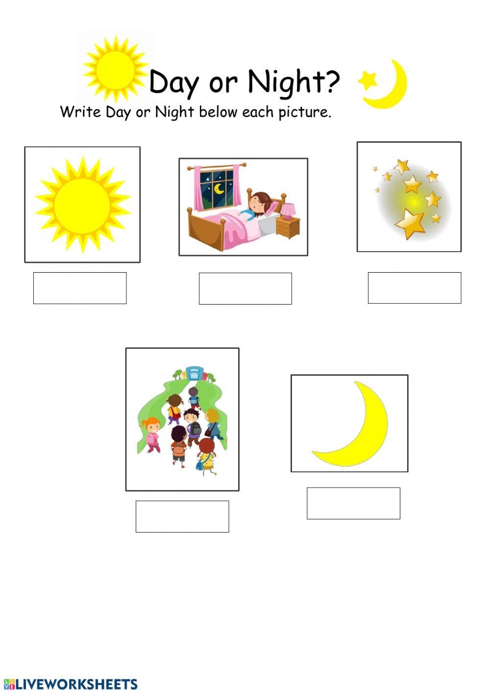 Day Or Night Activity Worksheets Library