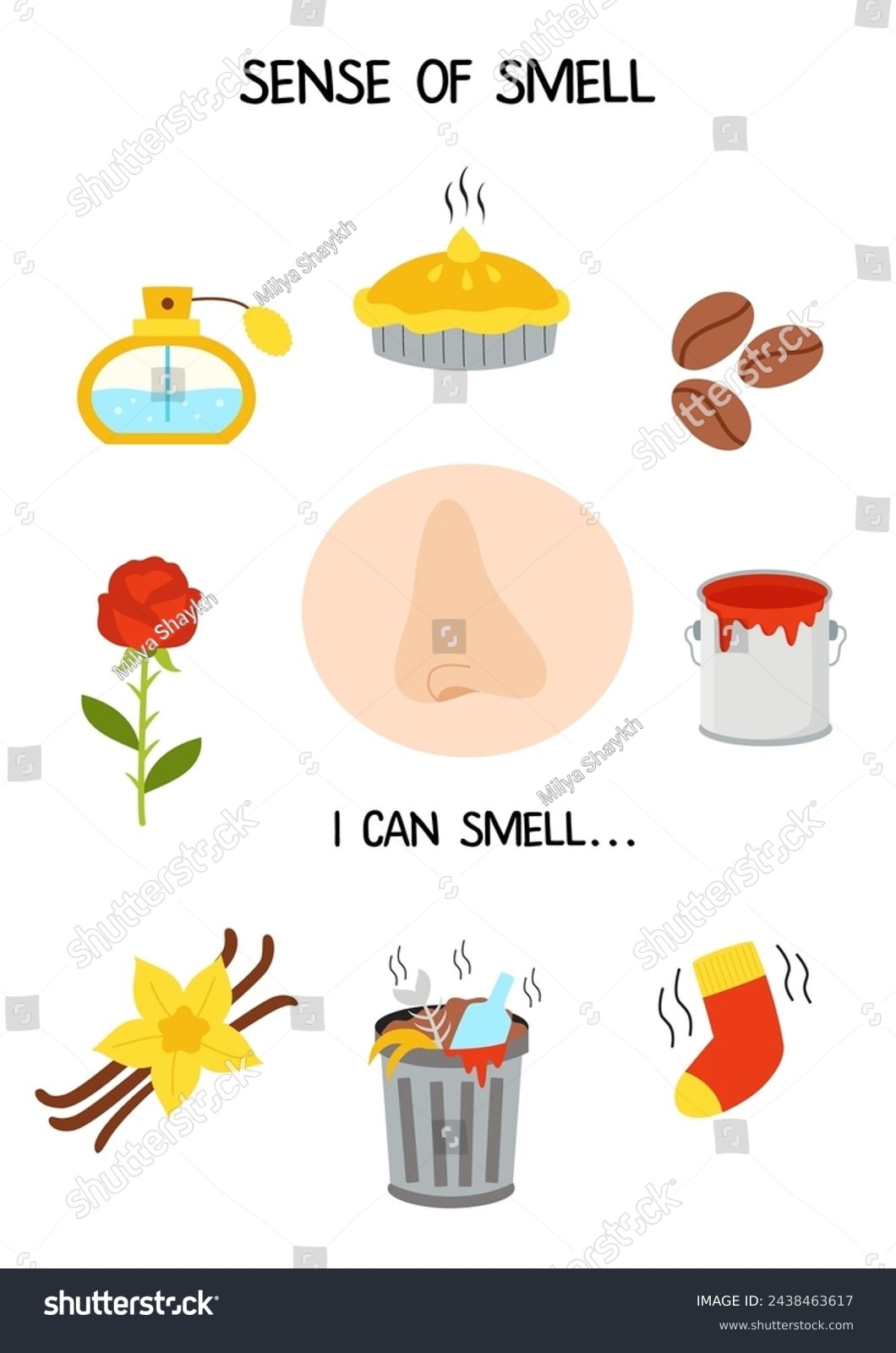 Five Senses Poster Sense Smell Worksheet Stock Vector Royalty Free 2438463617 Shutterstock