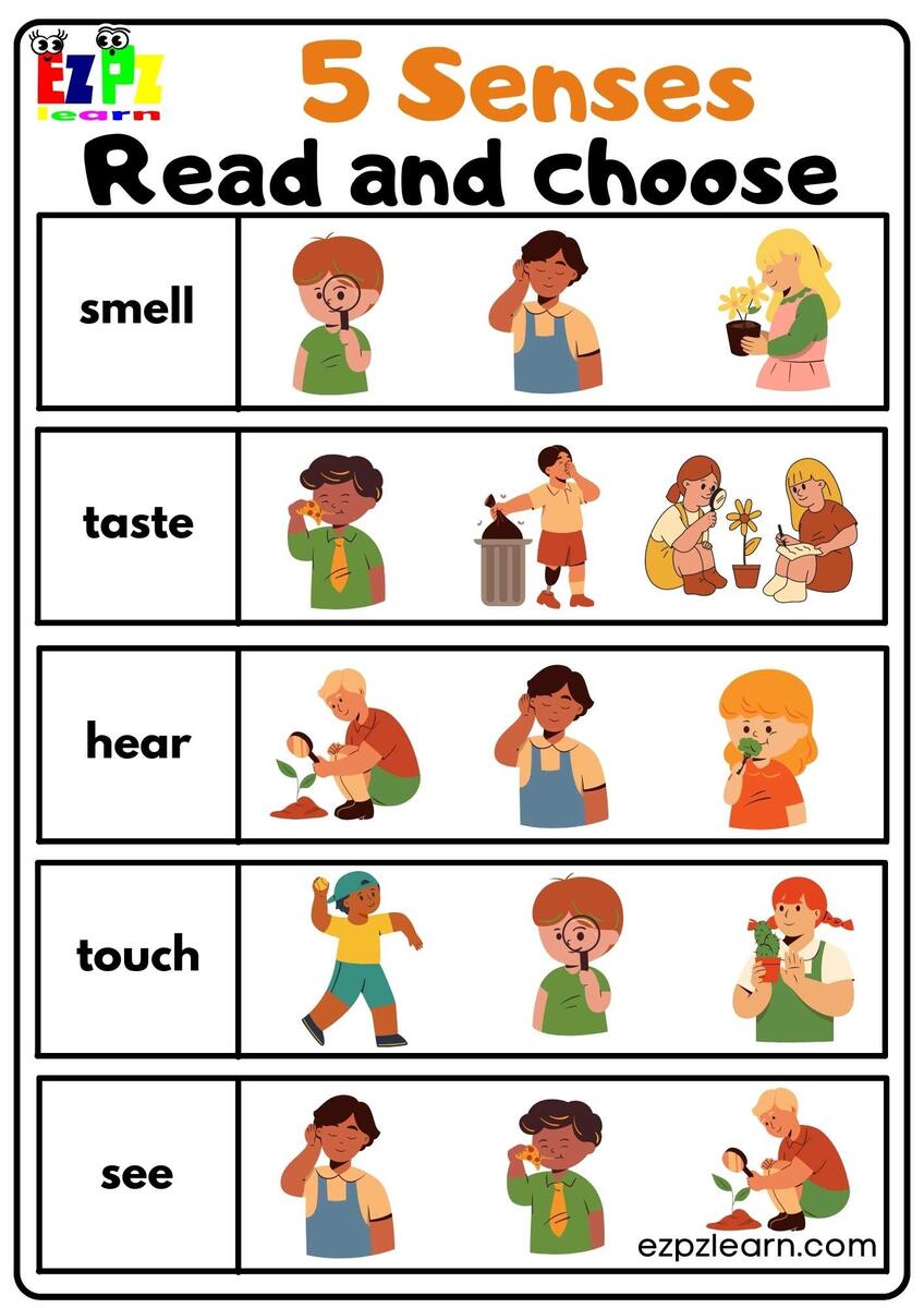 Five Senses Worksheet Free For Kindergarten And Grade 1