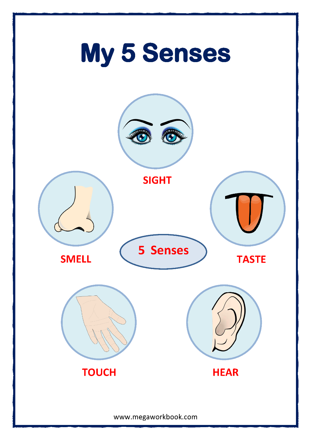 Five Senses Worksheets For Preschool And Kindergarten MegaWorkbook