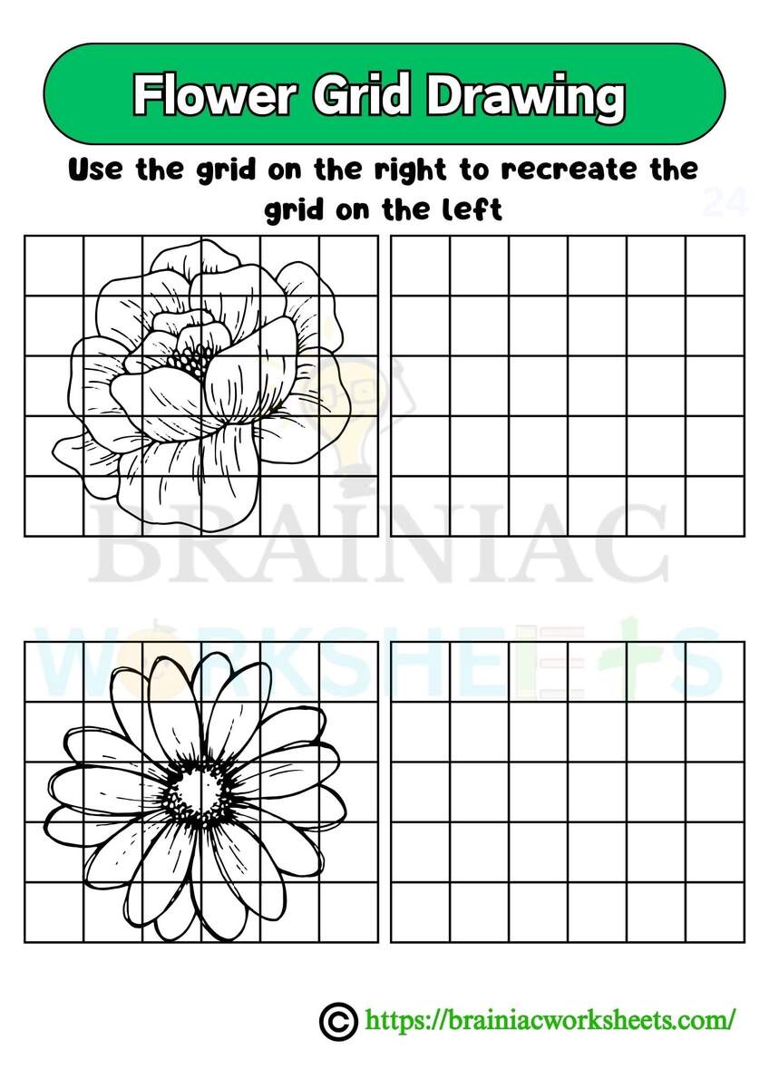 Flower Grid Drawing Worksheet Class 5 Brainiac Worksheets