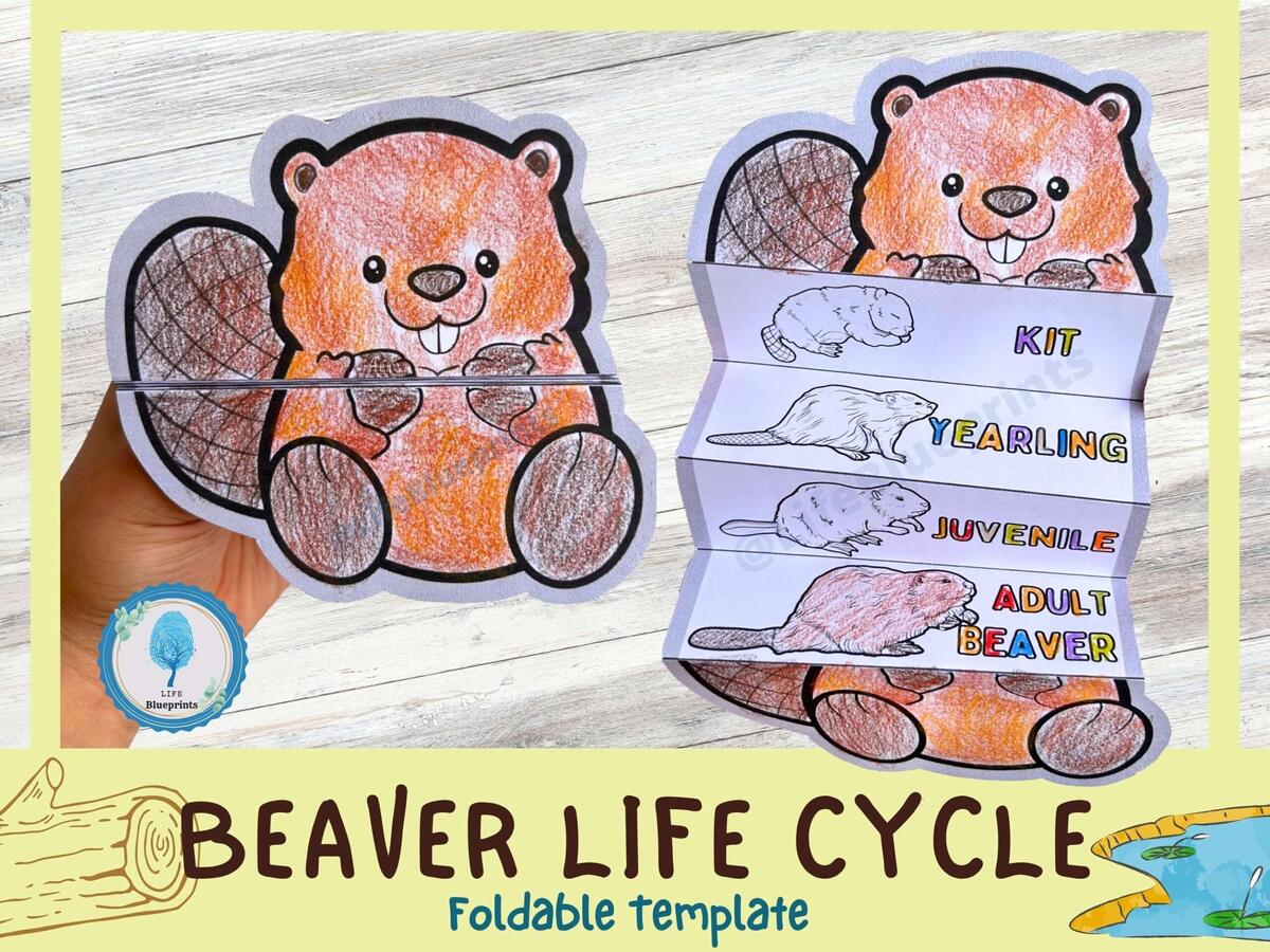 Color Cut And Glue Paper Little Beaver Cut And Paste Crafts Activity Page Educational Game For Preschool Children DIY Worksheet Kids Logic Game Stock Vector Image Art Alamy