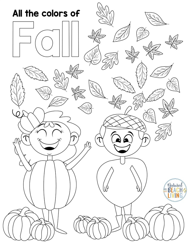 Fall Maze Worksheet Free Printable Digital PDF