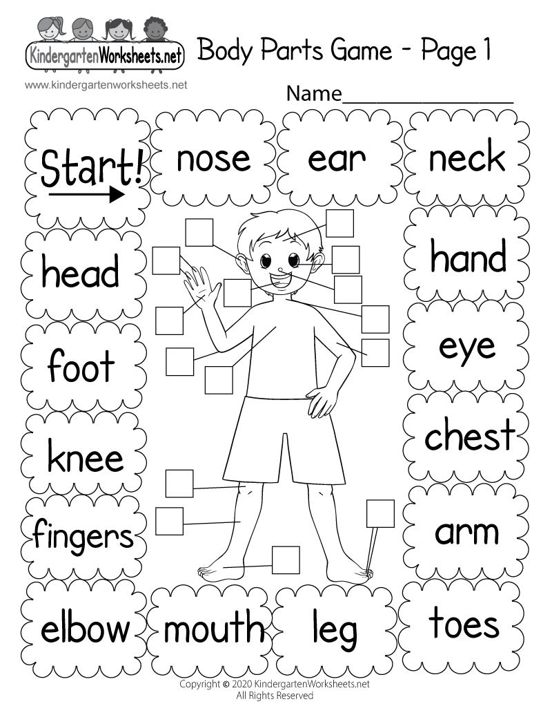 Customize 81 Body Parts Worksheets Templates Online Canva