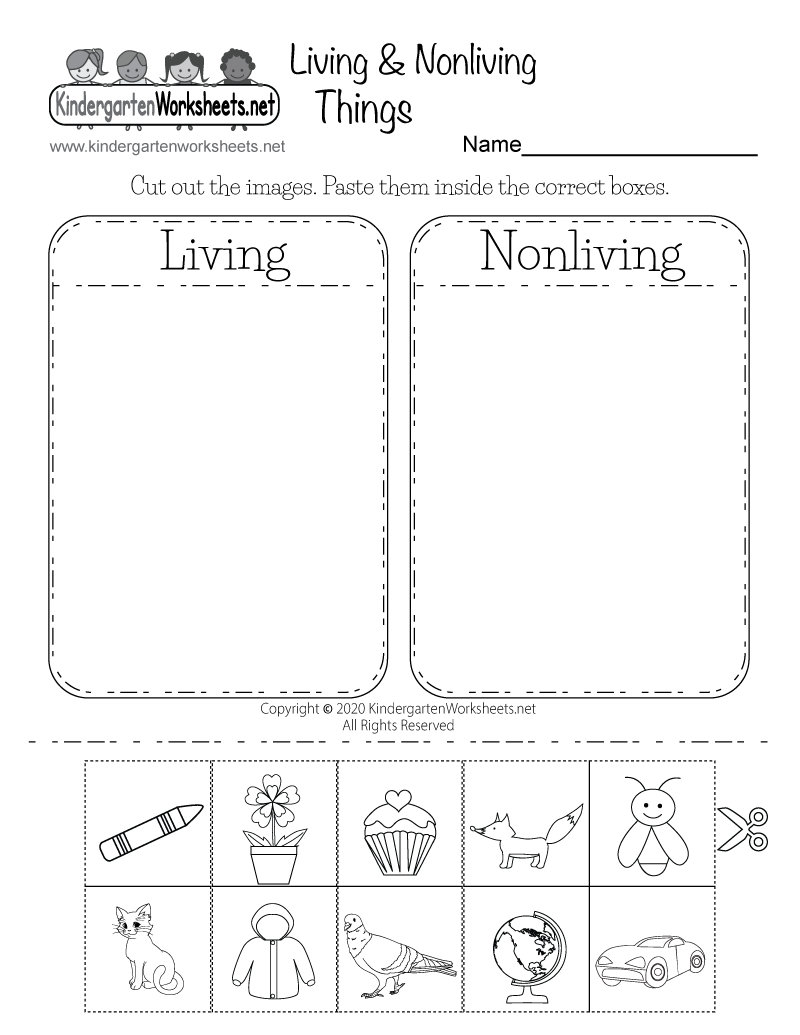 Living And Non Living Printable Preschool Activities Kindergarten Readiness PDF Digital Download Etsy