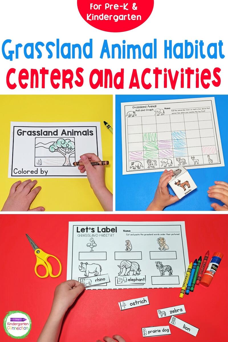 Grassland Animal Habitat Centers And Activities