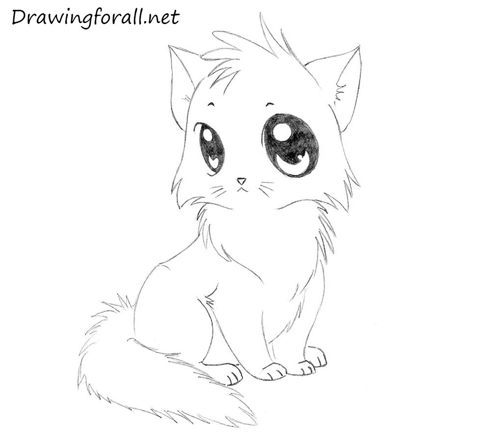 How To Draw A Cartoon Cat For Kids