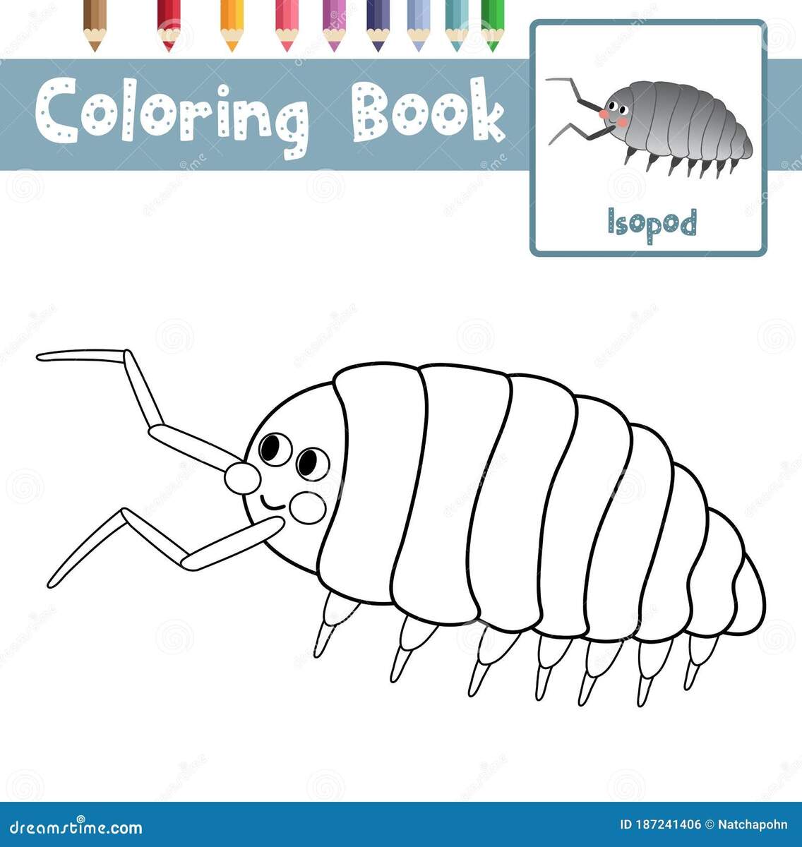 Isopod Animals Stock Illustrations 20 Isopod Animals Stock Illustrations Vectors Clipart Dreamstime