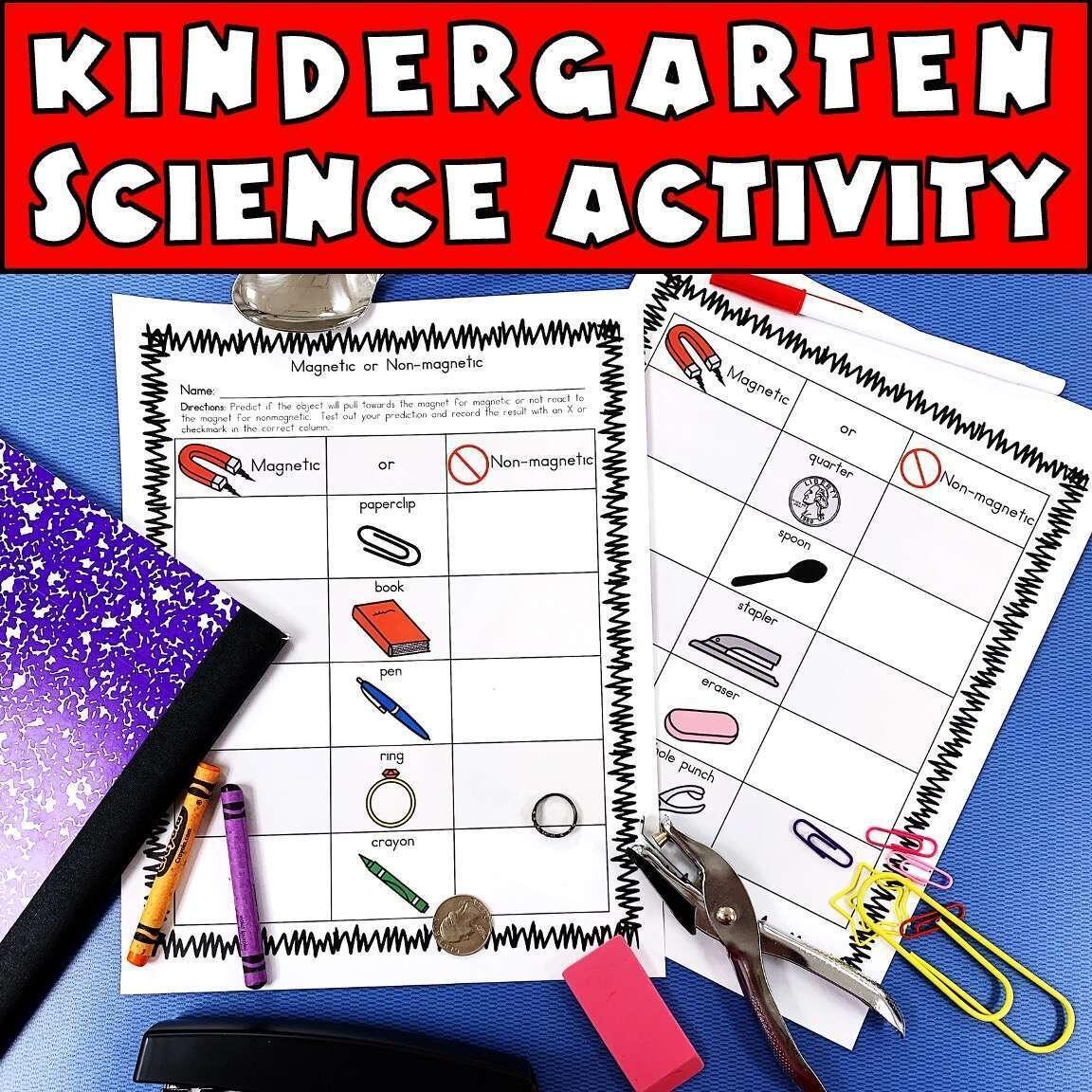 Kindergarten Magnet Worksheet For Preschool Pre K SPED Science STEM STEAM Caroline Koehler At Celavora Education