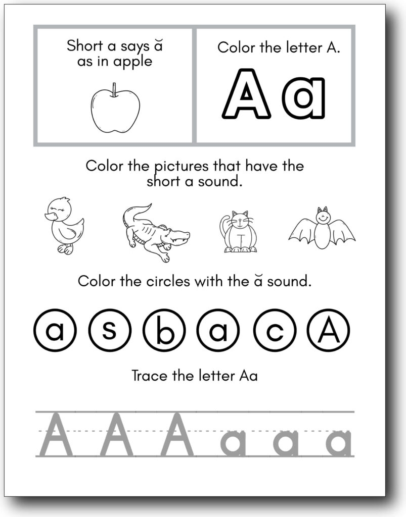 Preschool Kindergarten Alphabet Search Made By Teachers