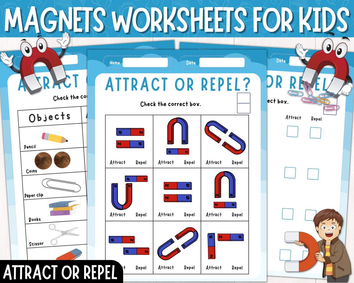Kindergarten Magnet Worksheet For Preschool Pre K SPED Science STEM STEAM Caroline Koehler At Celavora Education