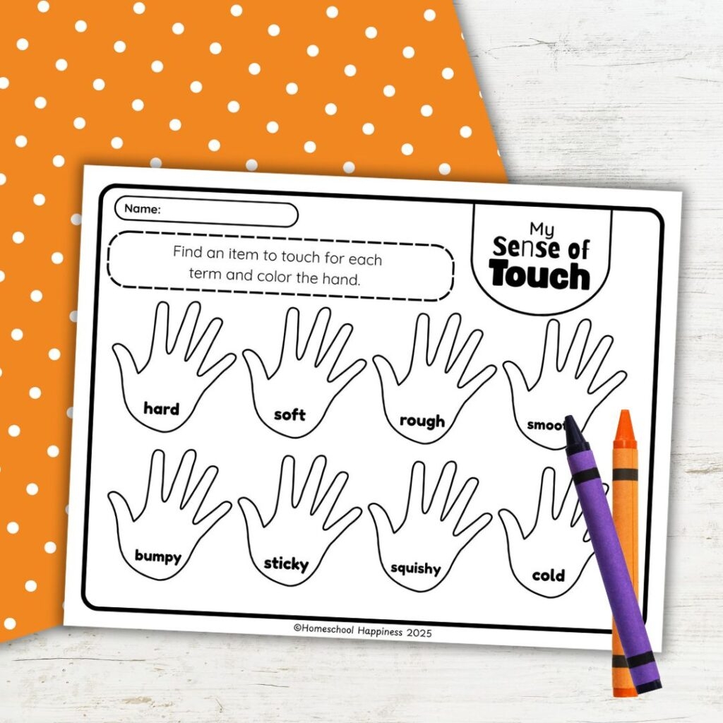 My Sense Of Touch Worksheet Free Printable For Kids