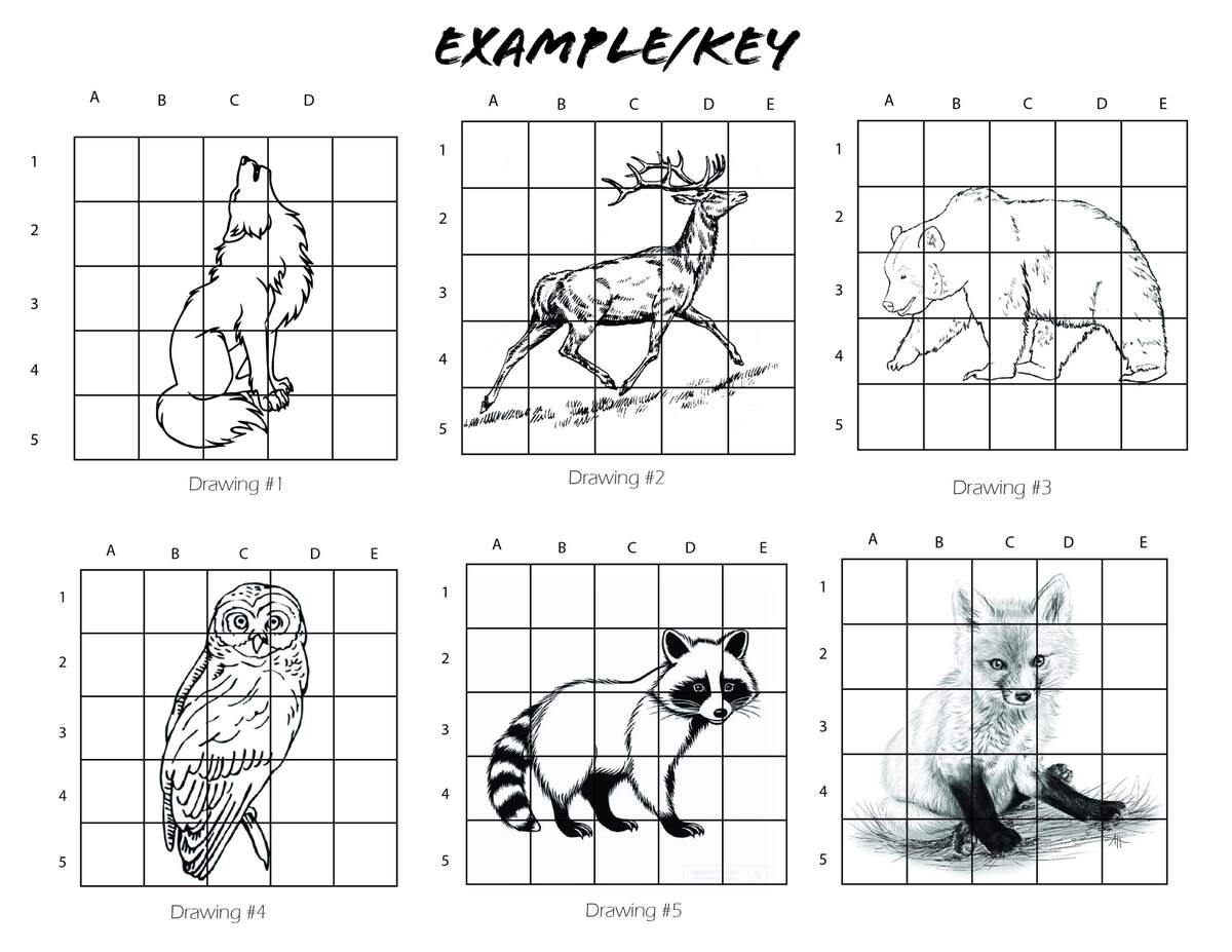 Mystery Grid Animal Drawings Art Class Worksheets digital Download Etsy Sweden