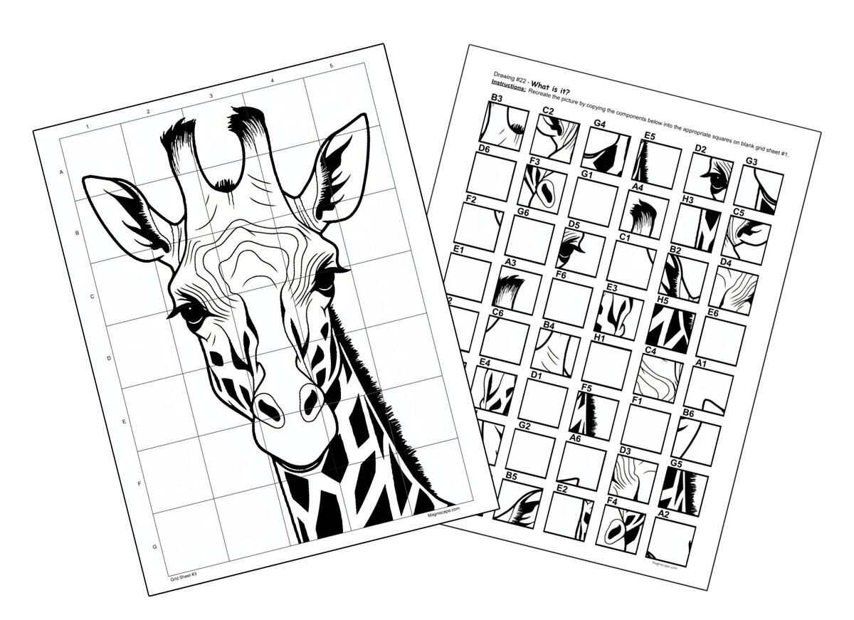 15 Printable Mystery Grid Drawing Worksheets Art