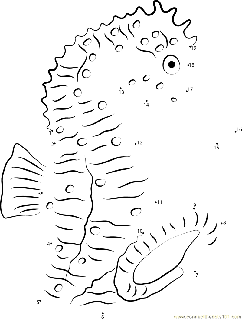 Orange Seahorse Dot To Dot Printable Worksheet Connect The Dots