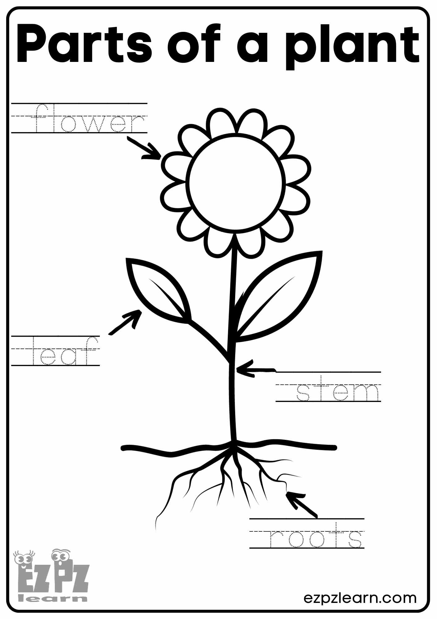 Parts Of A Plant Read And Choose Worksheet For Kindergarten Or ESL Students Free Printable PDF Download Ezpzlearn