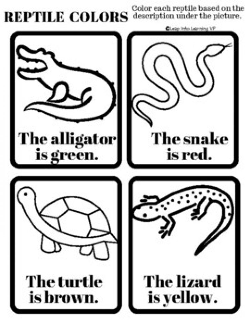 Reptile Themed Learning Packet Leap Into Learning