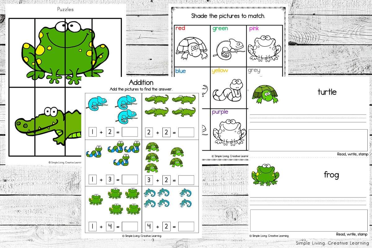 Reptiles All About Reptiles Digital Download Instant Download Kid S Worksheet STEM Worksheets Etsy