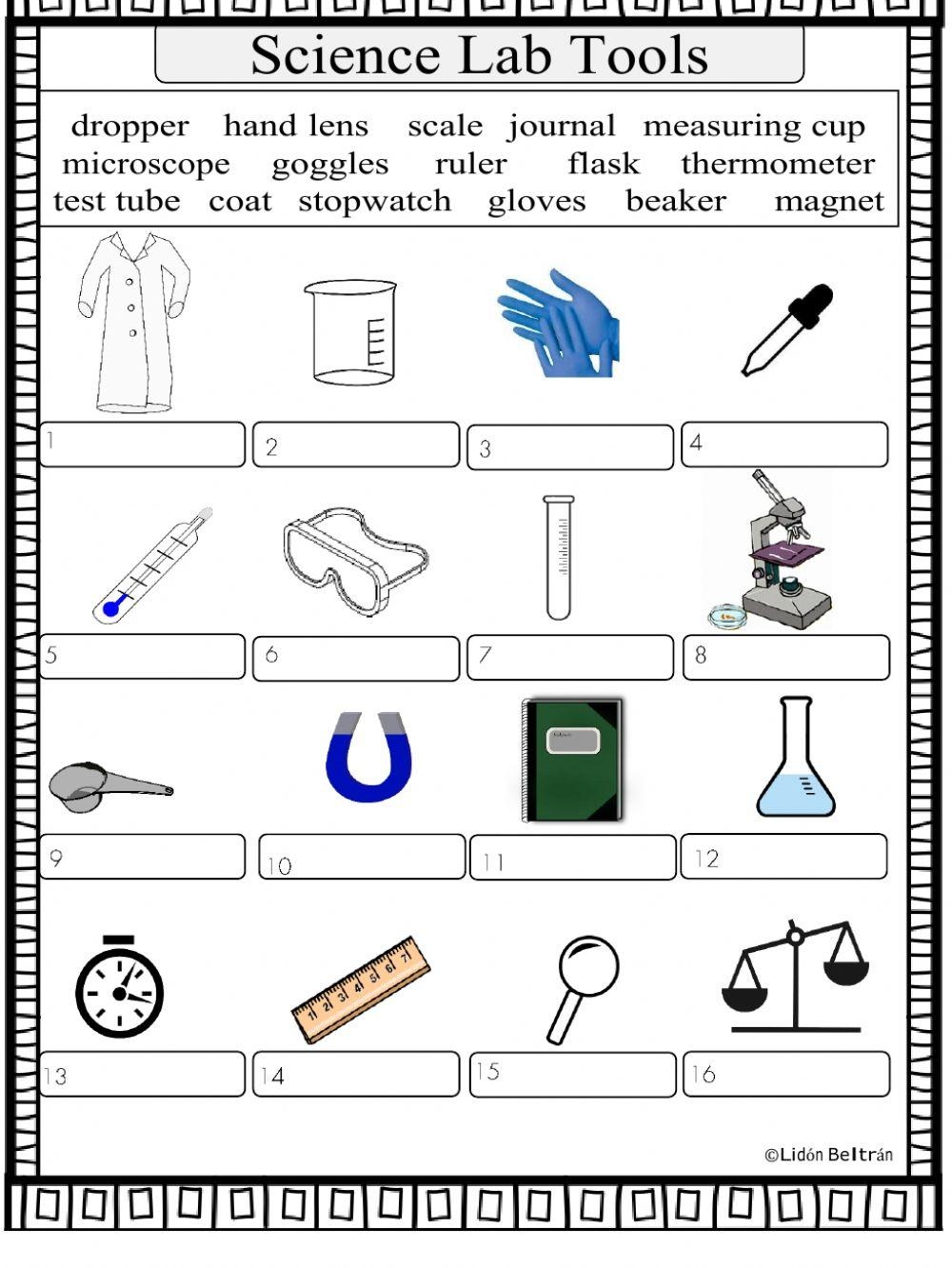 Scientific Tools Online Worksheet Worksheets Library