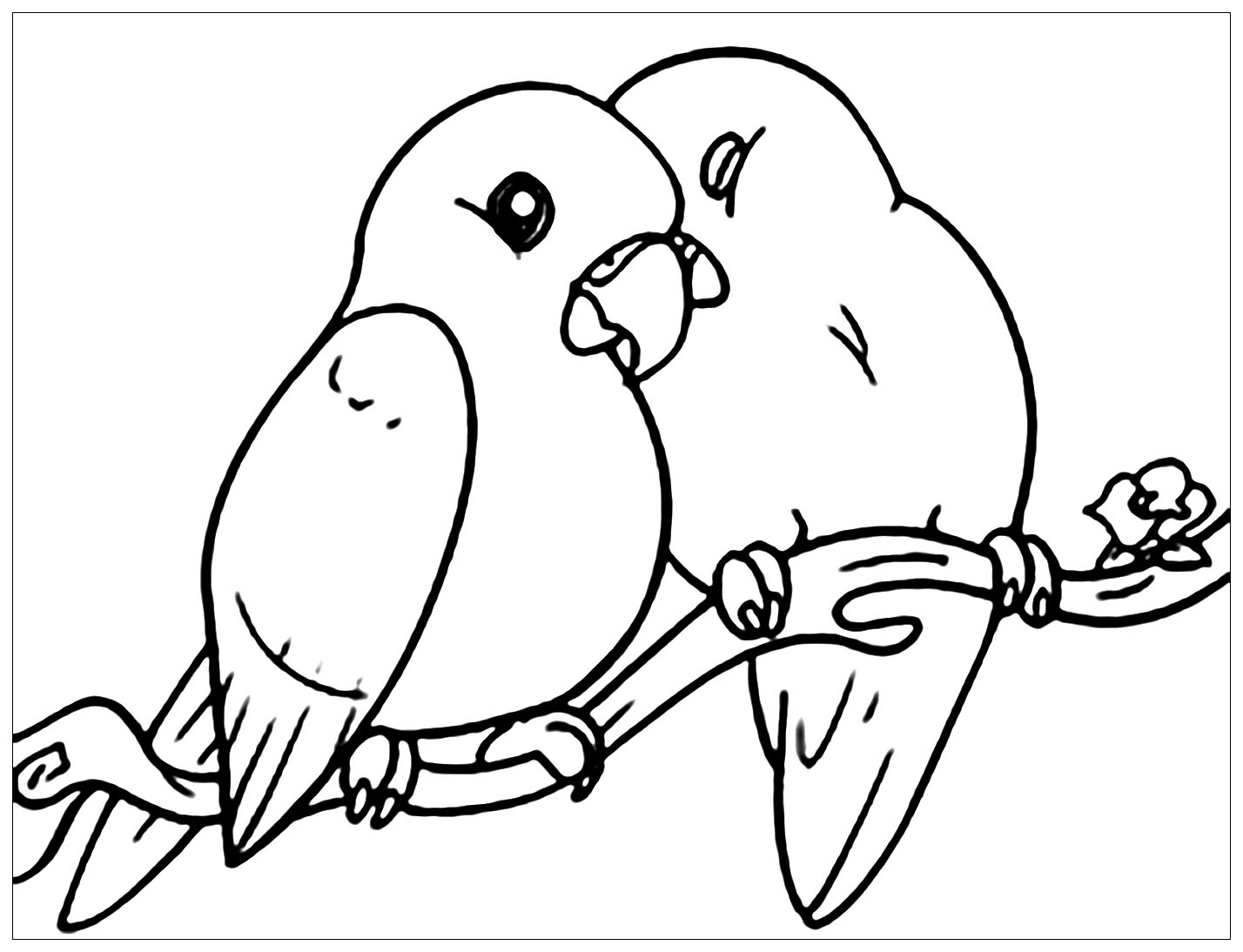 Bird Coloring Page For Kids Stock Vector Image Art Alamy