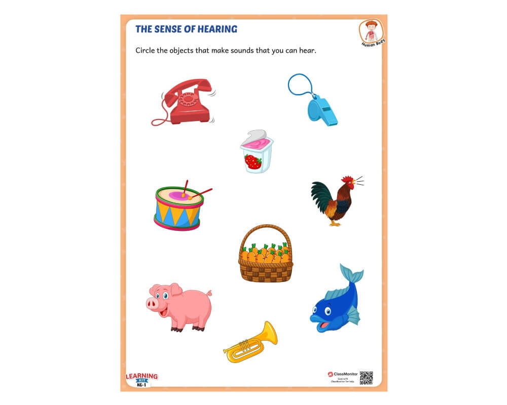 The Human Body Activity Worksheet The Sense Of Hearing ClassMonitor