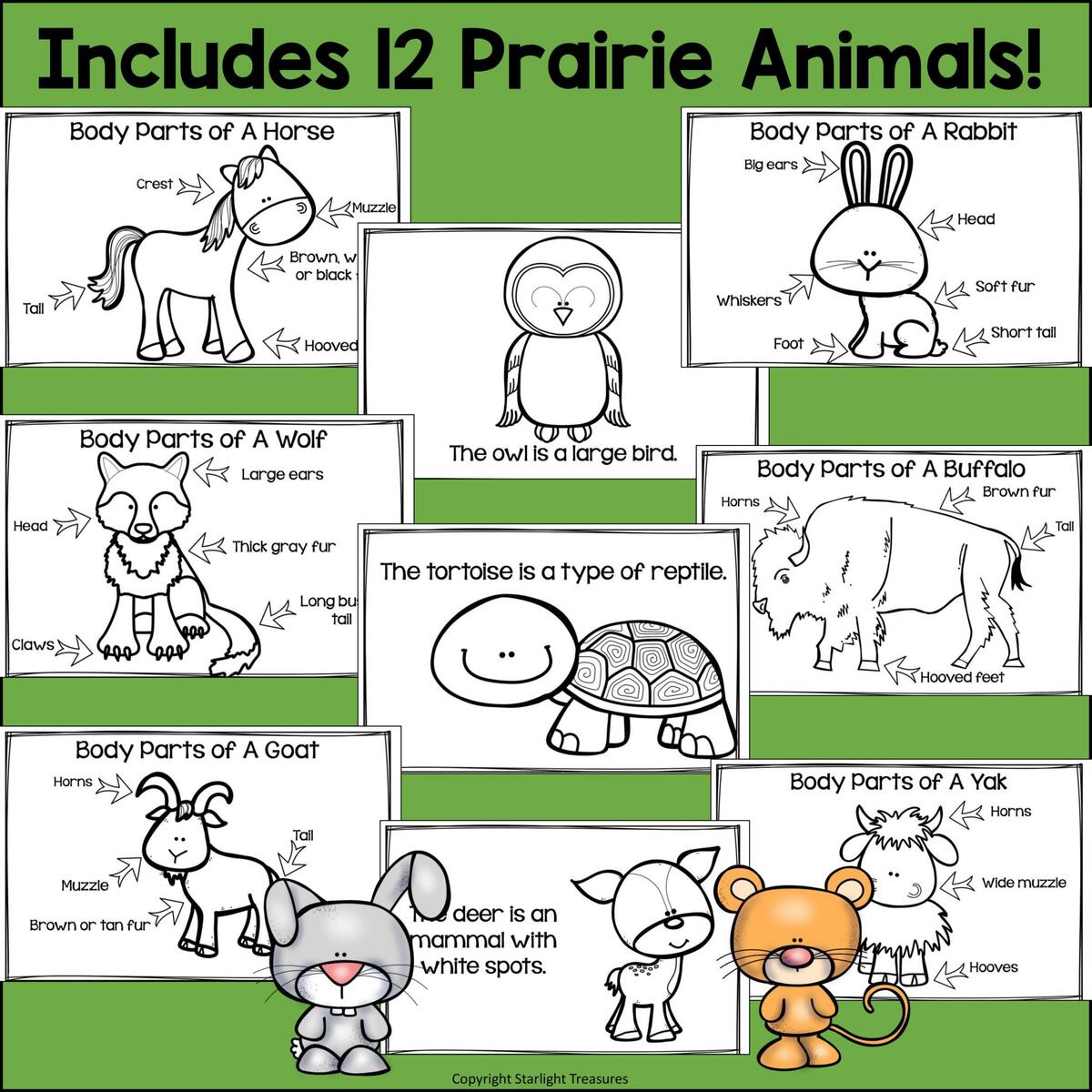 The Prairie Mini Book For Early Readers Prairie Animals Made By Teachers